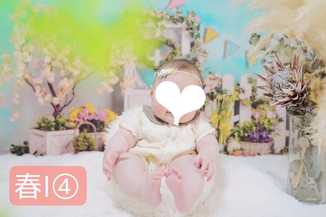 背景布×10枚+2　ペット撮影用フォトブース　トリミングチョーカー販売中