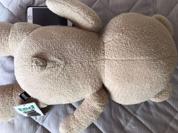 テッド　Ted ぬいぐるみ