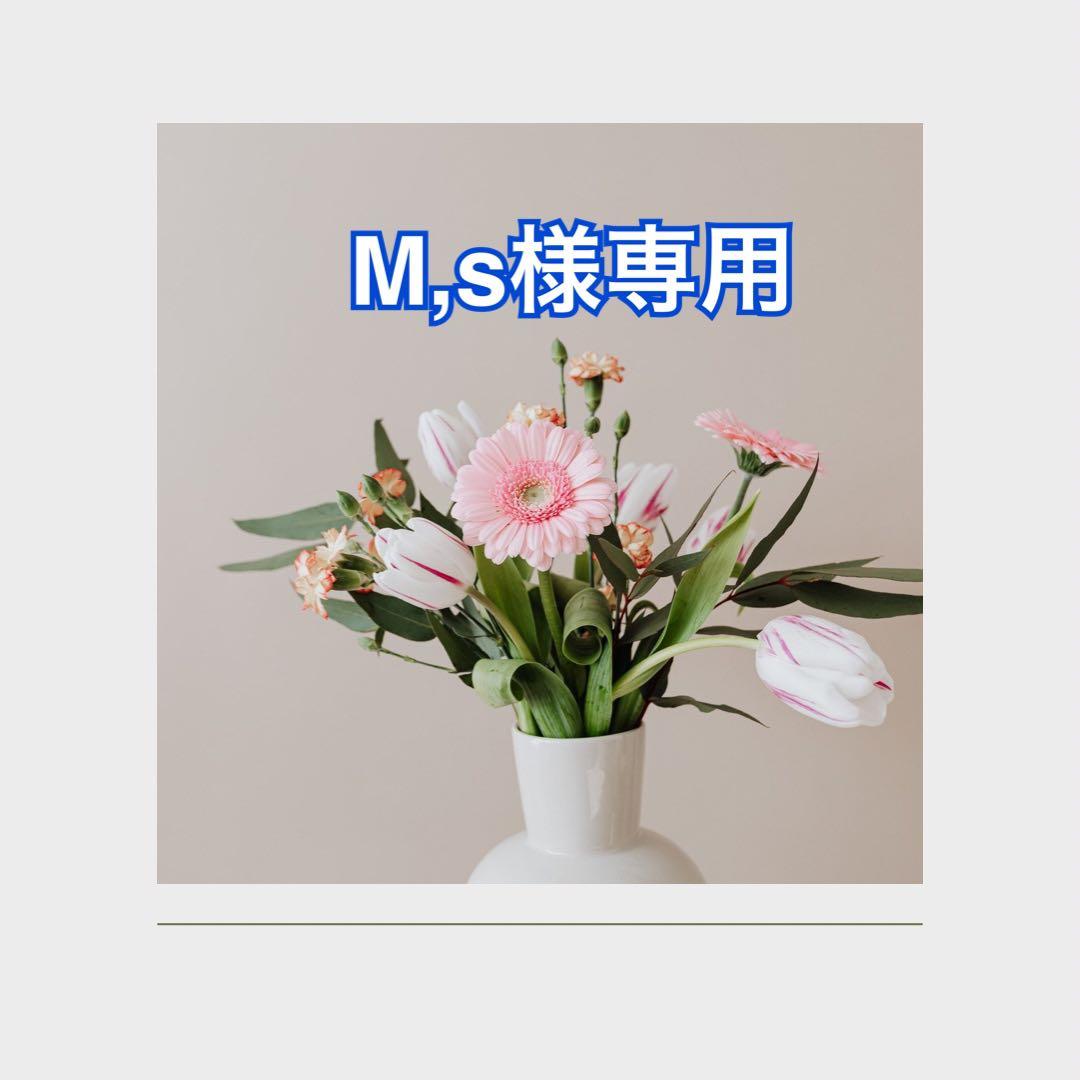 その他 M,s