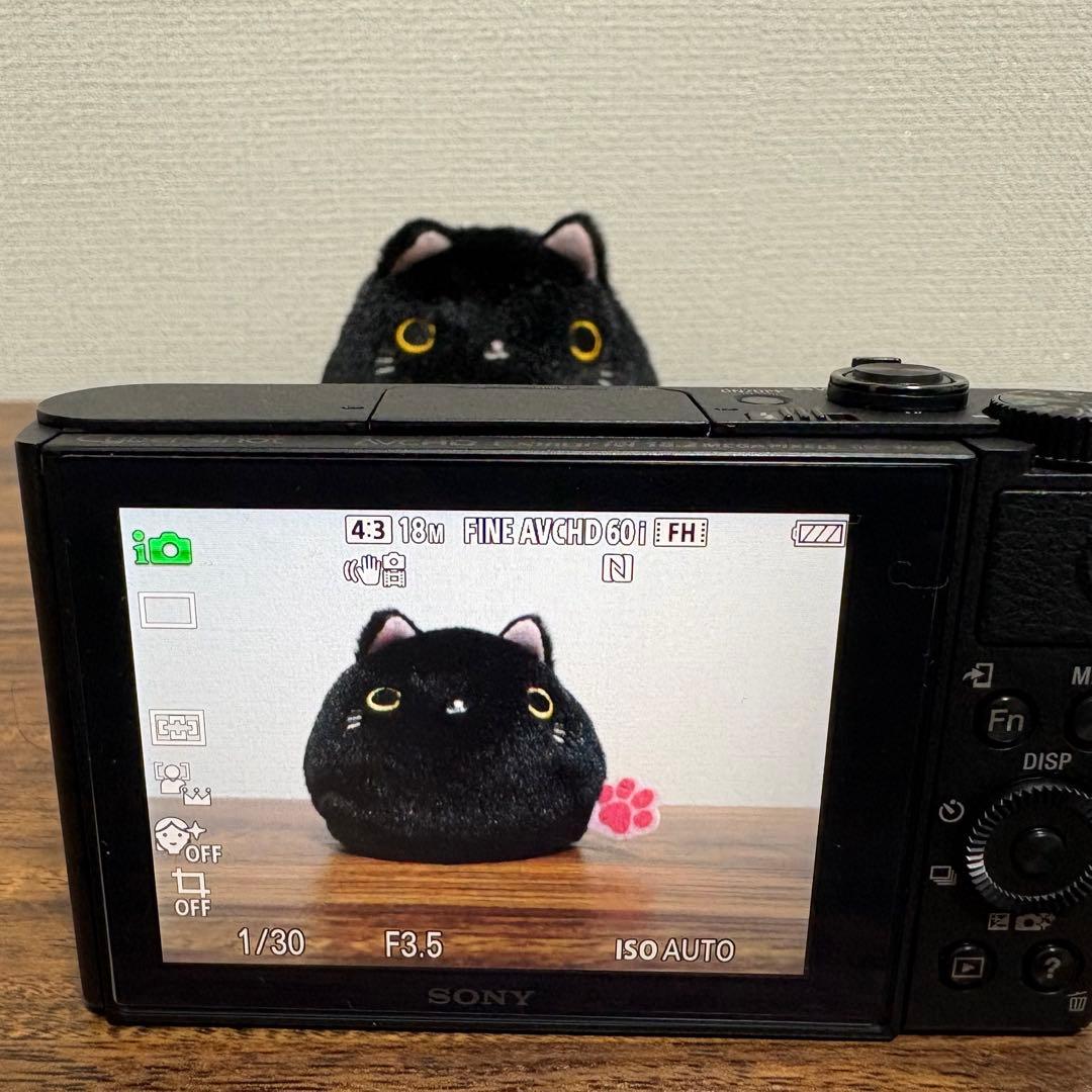 【美品✨作例あり】SONY Cyber-shot DSC-WX500 コンデジ