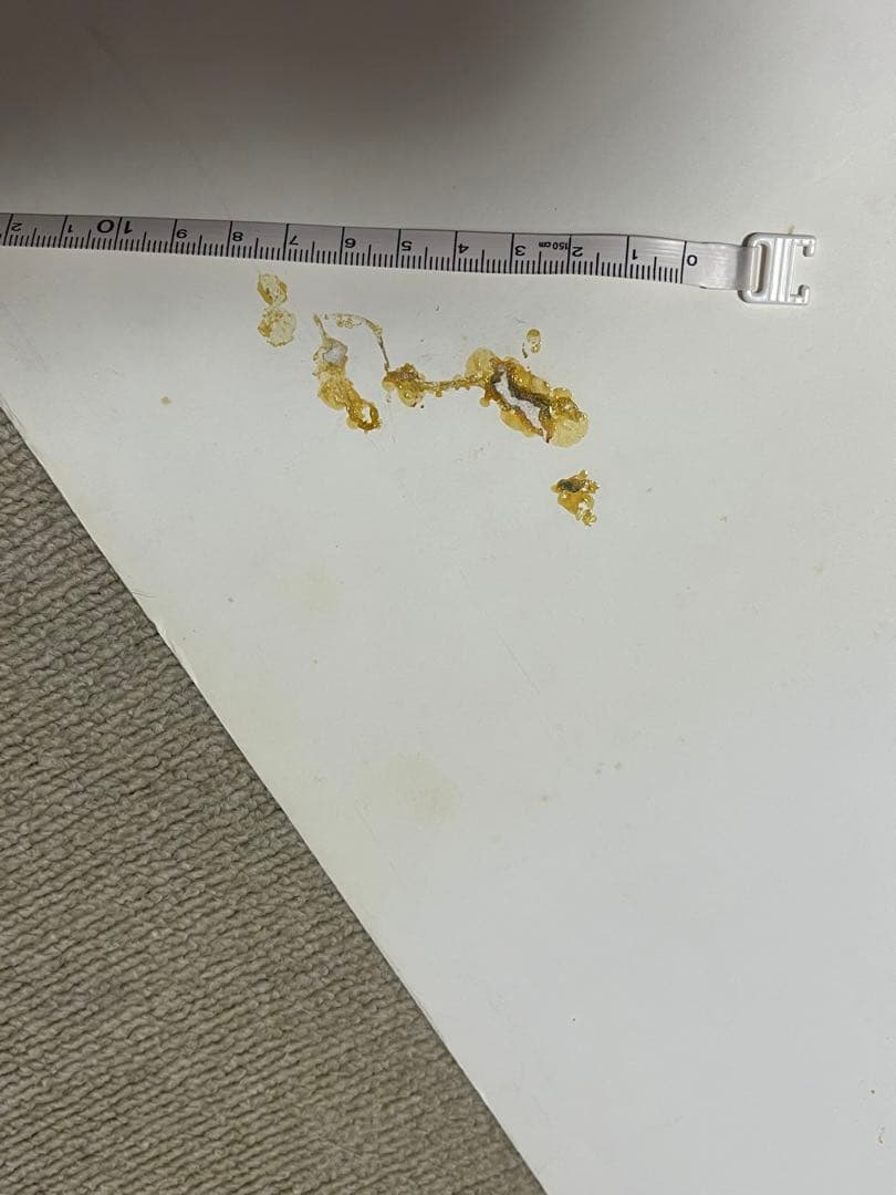 超激レア！！！★非売品★森重樹一★宝島　ポスター★