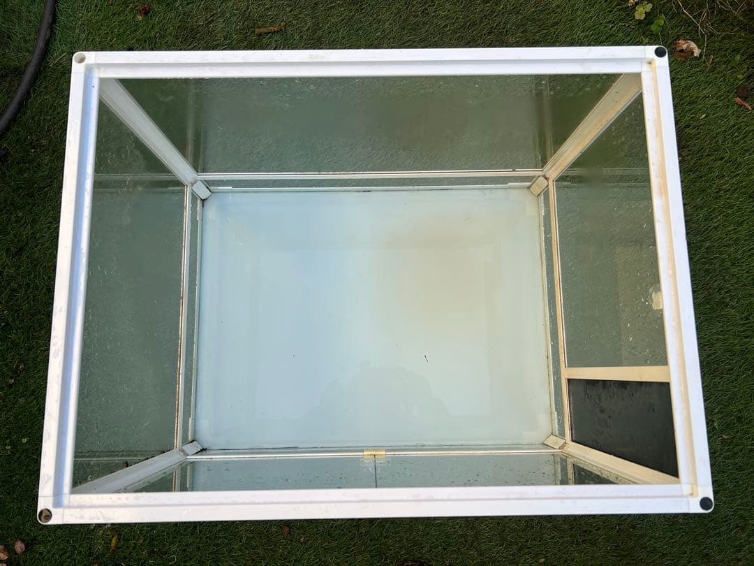 レプティワイルド パンテオンホワイト WH6045 三晃商会