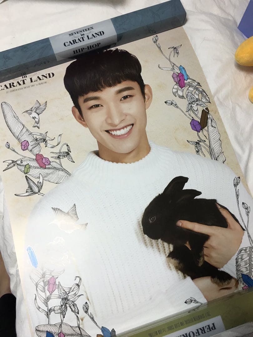 SEVENTEEN 2017 ペンミ ボカチ ポスターセット