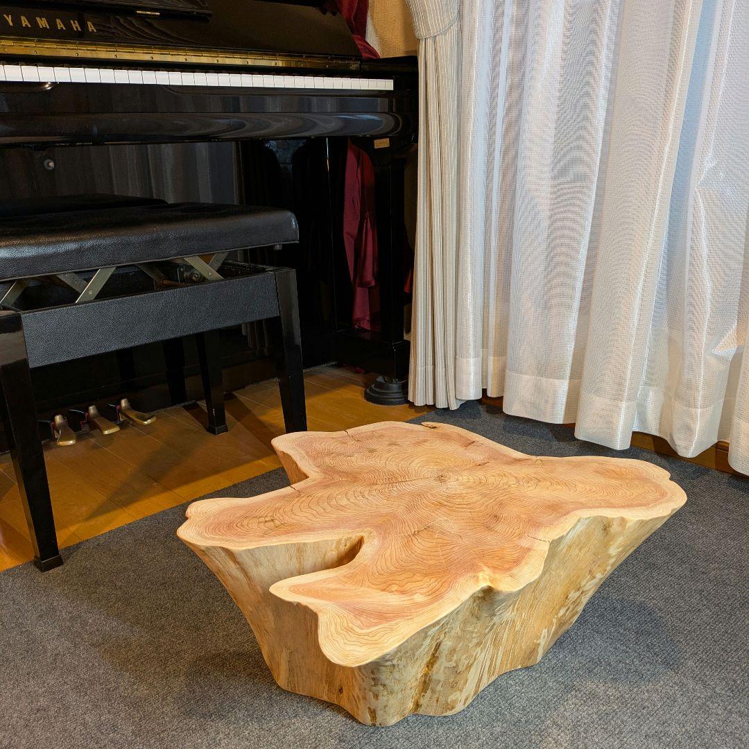 天然椹　サワラ　切り株　丸太　椅子　スツール　テーブル　高さ約23.5㎝