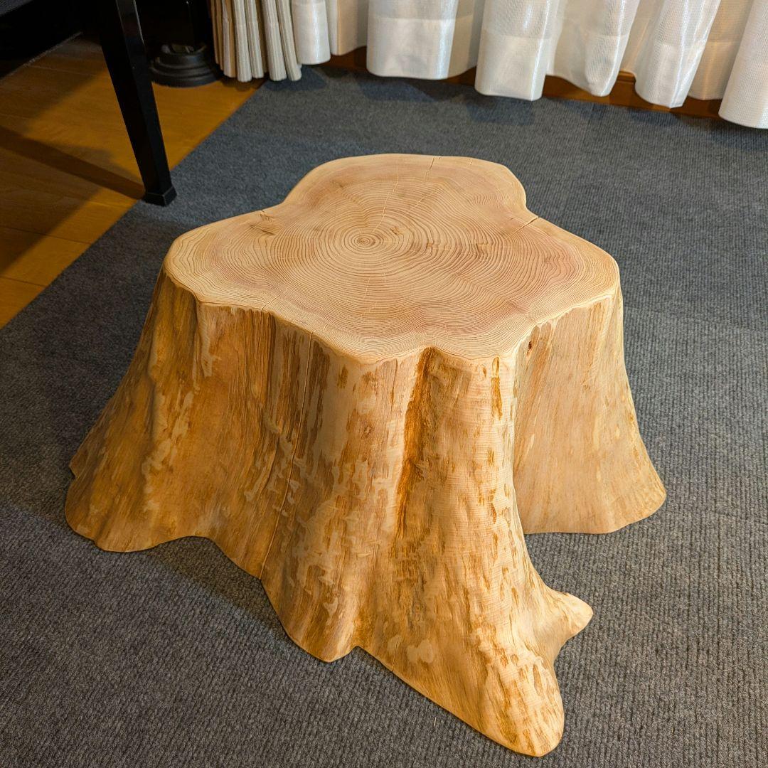 天然椹　サワラ　切り株　丸太　椅子　スツール　テーブル　高さ約23.5㎝
