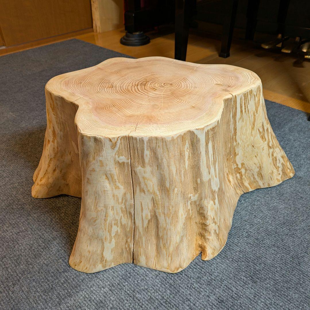 天然椹　サワラ　切り株　丸太　椅子　スツール　テーブル　高さ約23.5㎝
