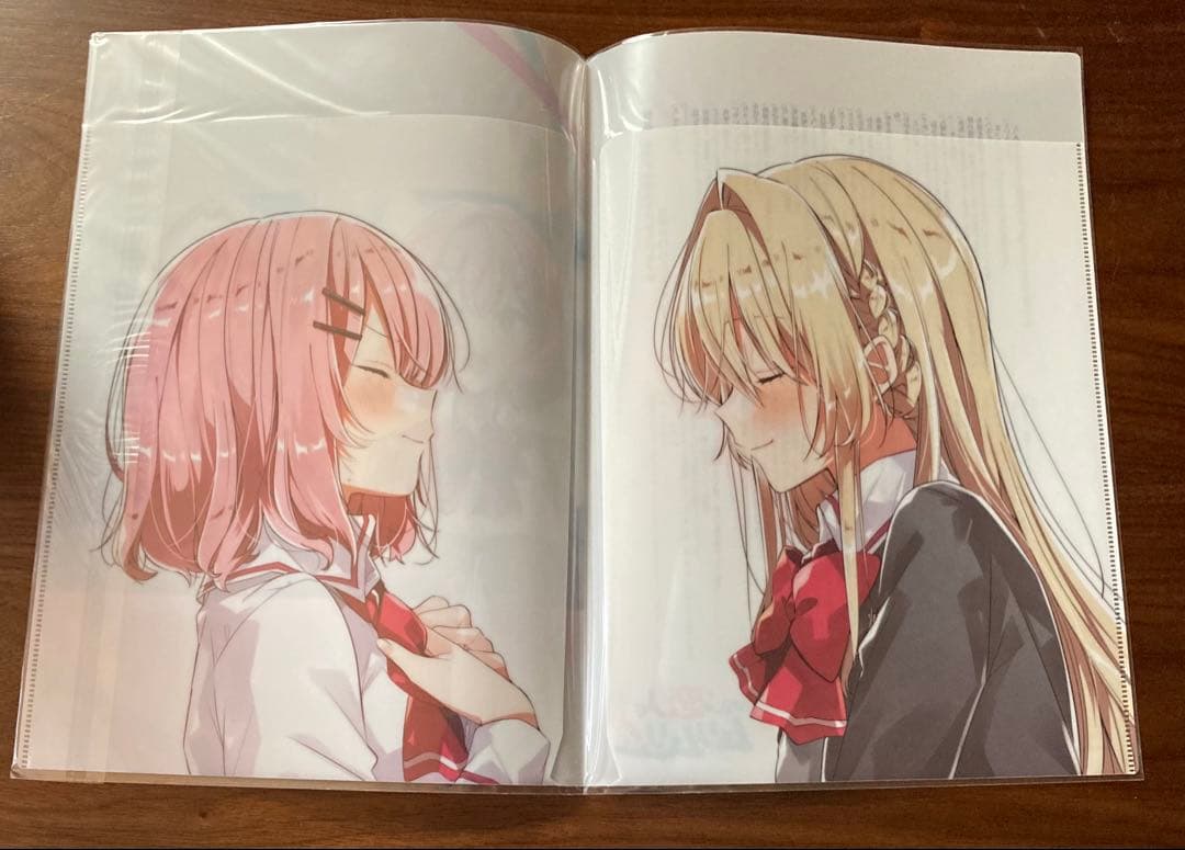 【新品未開封】わたしが恋人になれるわけないじゃん アニメイト特典 クリアファイル