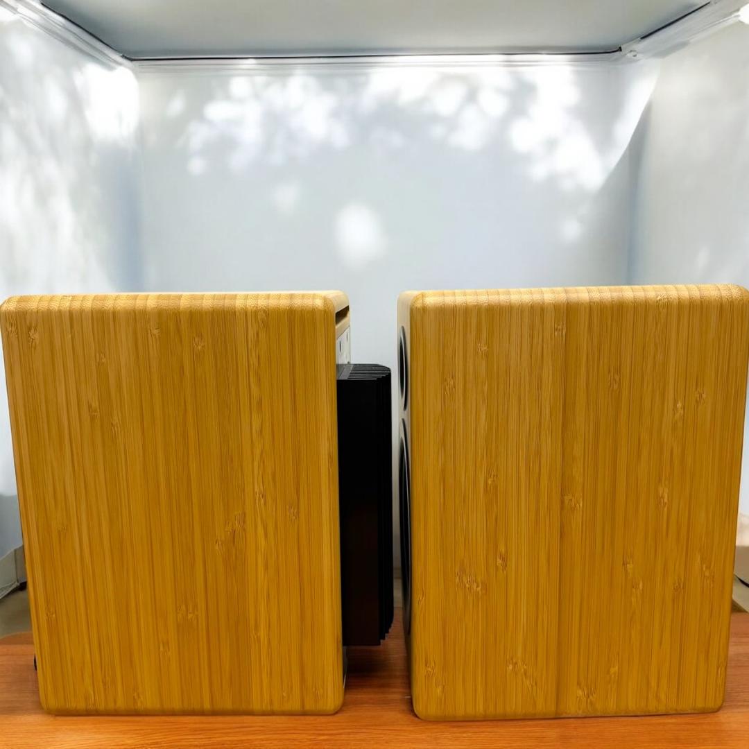 ☆未使用品 オーディオエンジン A5+ バンブー パワードスピーカー ペア