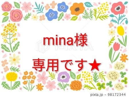 minaです★箱無し発送です★