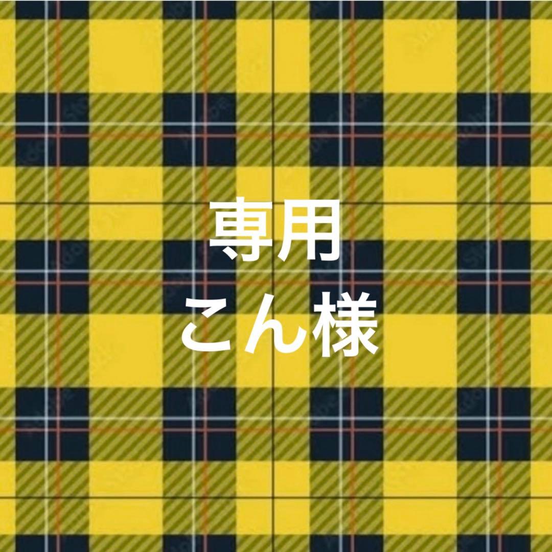 専用ページ こん様2/1