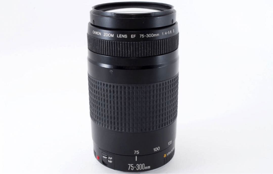迫力300㎜☆キヤノン☆Canon EF 75-300㎜ F4-5.6 Ⅱ☆