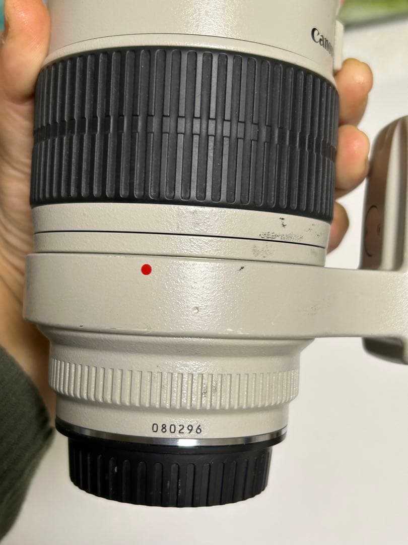 Canon EF 70-200mm f/2.8 ズームレンズ