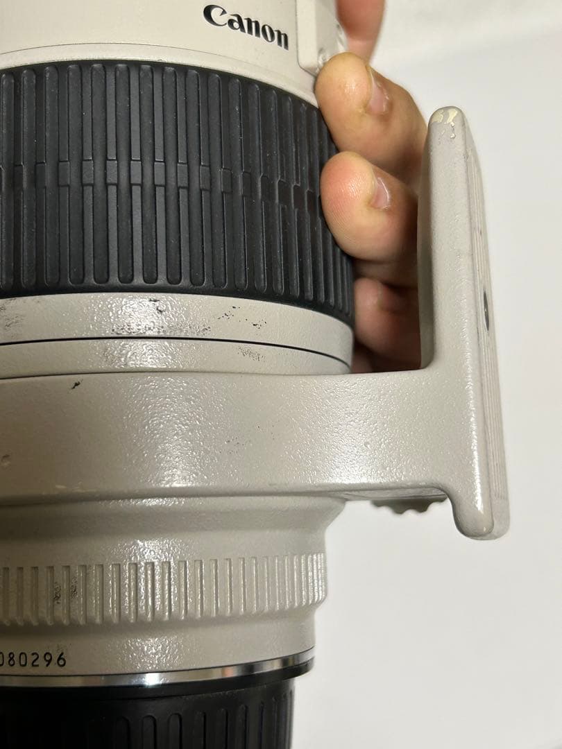 Canon EF 70-200mm f/2.8 ズームレンズ