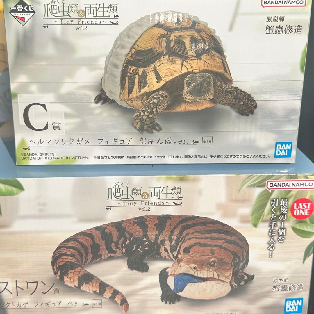 一番くじ爬虫類&両生類～Tiny Friends～vol.2ラストワンC賞