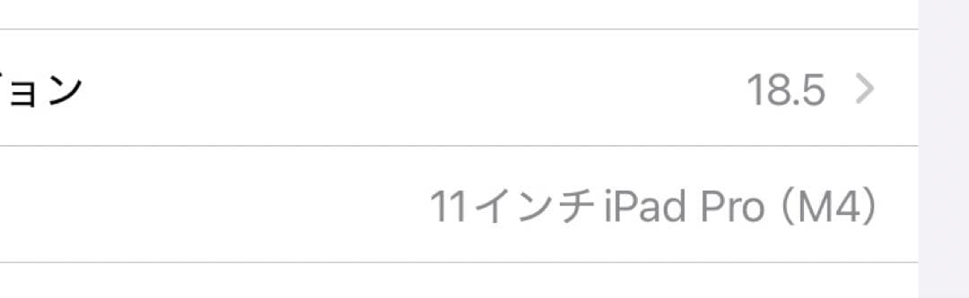 iPad Pro M4 11インチ 256GB シルバー