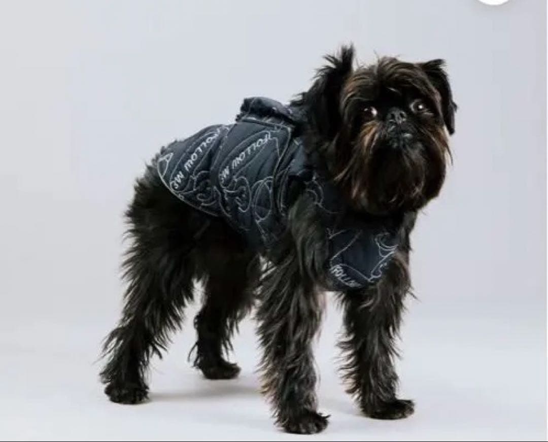 アルファアイコン AIR LINER エアライナー COSMIC 1L ポケット