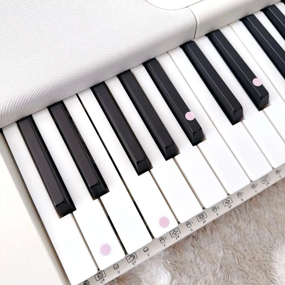 【極美品】2021製Casiotone 光ナビゲーションキーボード LK-520