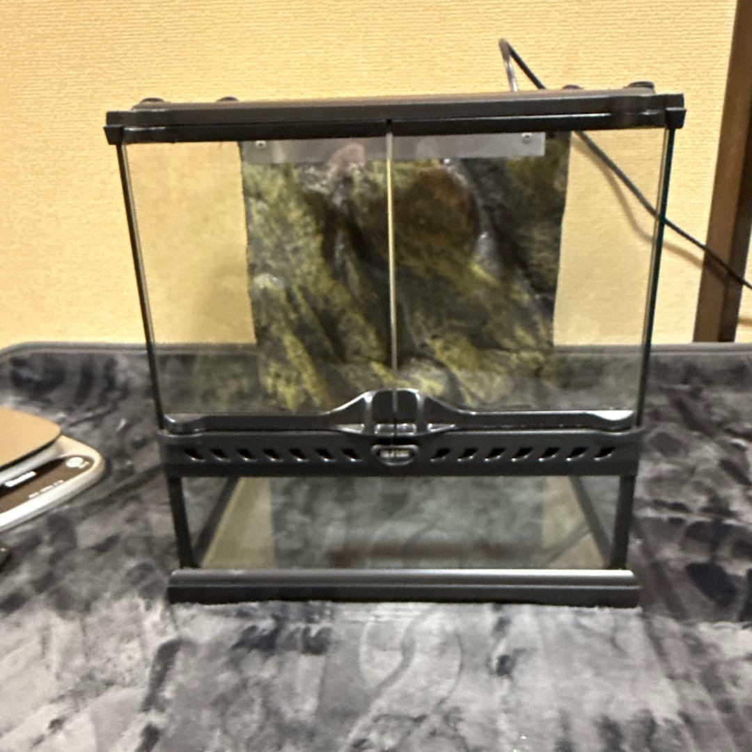 GEX EXOTERRA グラステラリウム3030 飼育ゲージ フルセット
