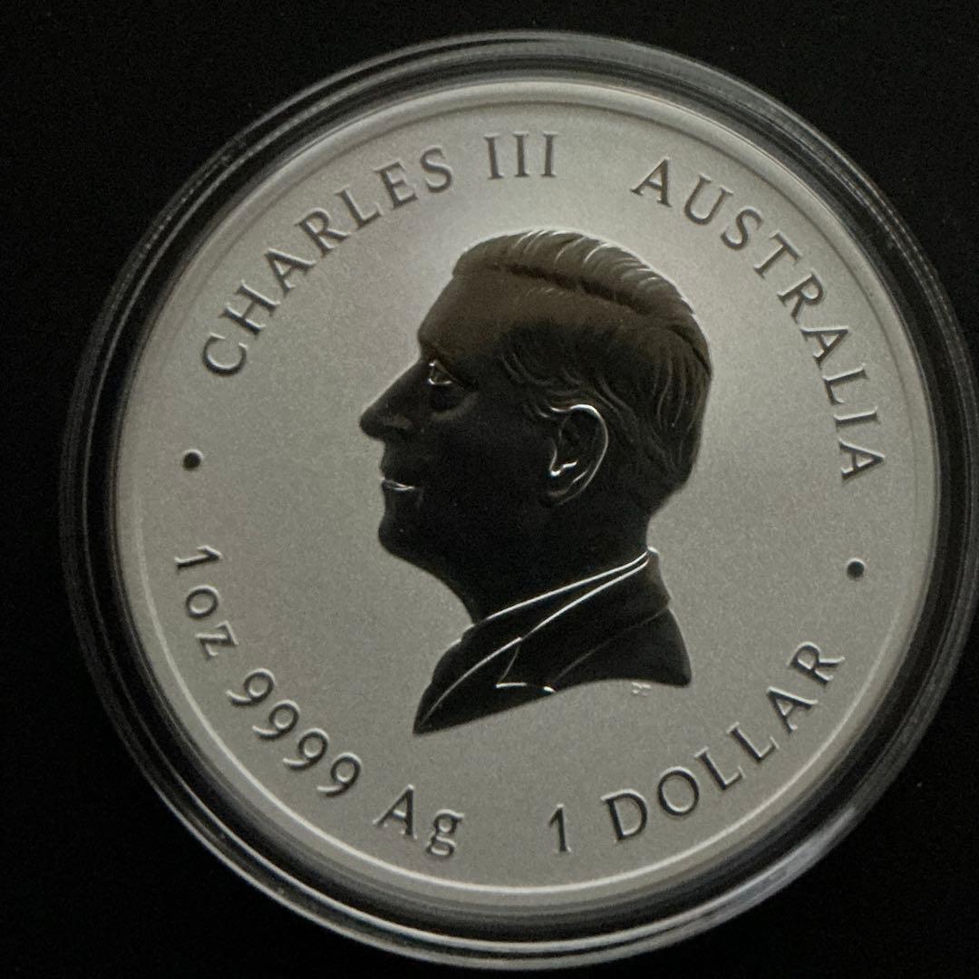 本物保証　2025年 オーストラリア 蛇年 巳年 ヘビ　純銀貨 1オンス 干支