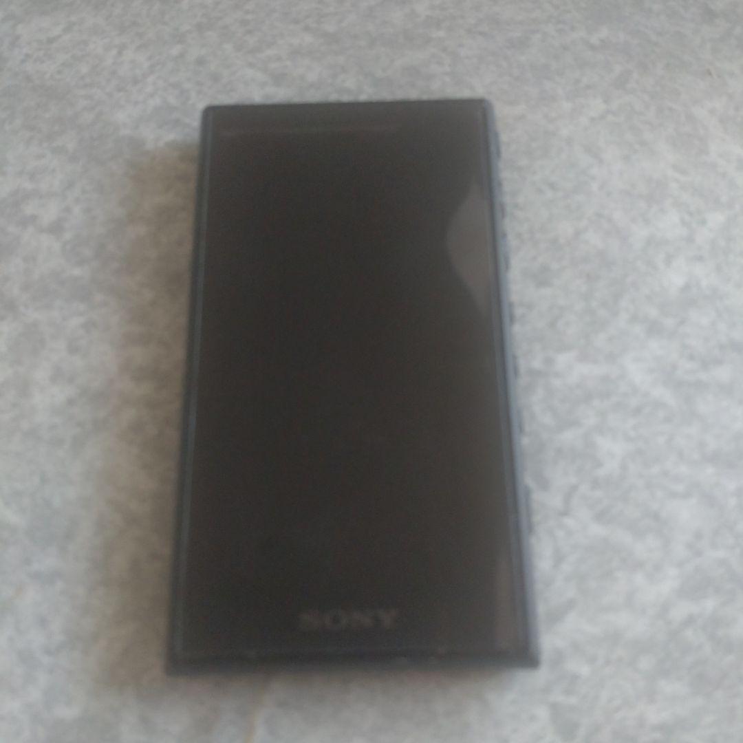 SONYウォークマンNW-A100