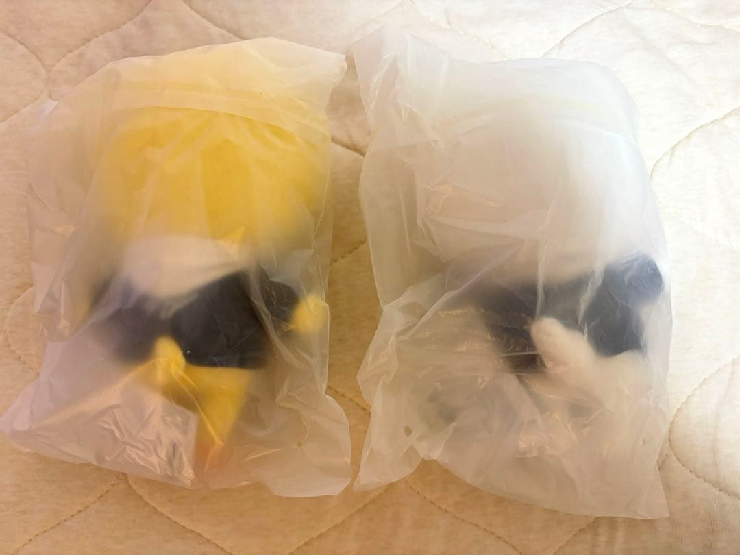 stray kids SKZOO ぬいぐるみ ジニレット＋ポガリ　2体セット