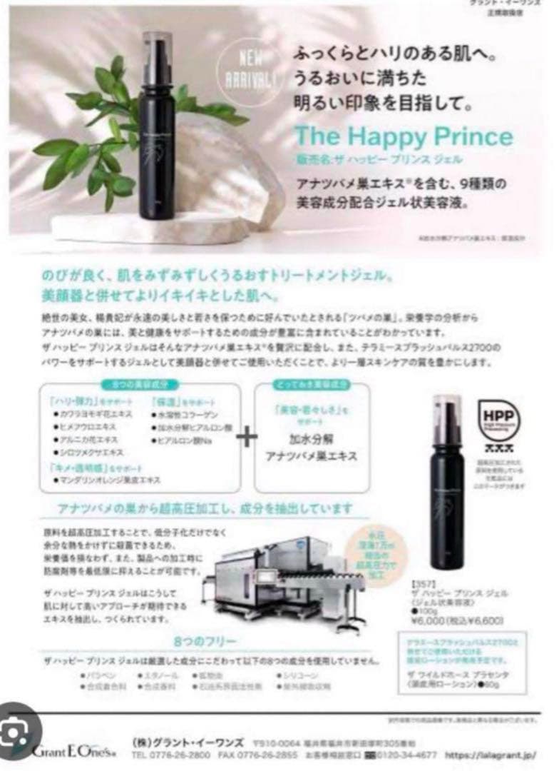 TERAMEE SPLASH PULSE 2700 美顔器