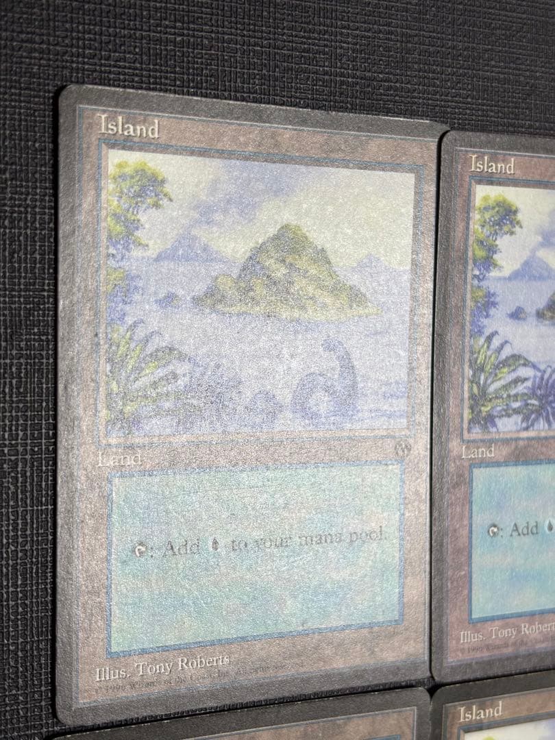 初代アリーナランド 島