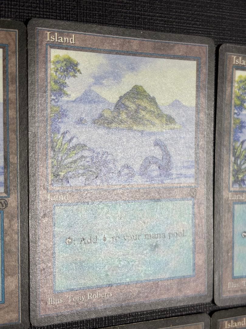 初代アリーナランド 島