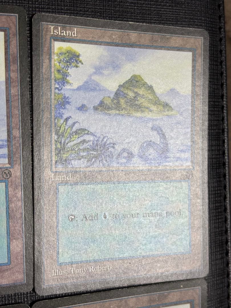 初代アリーナランド 島