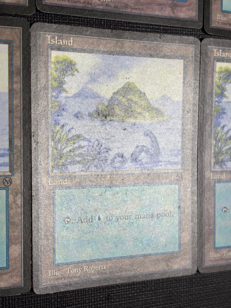 初代アリーナランド 島