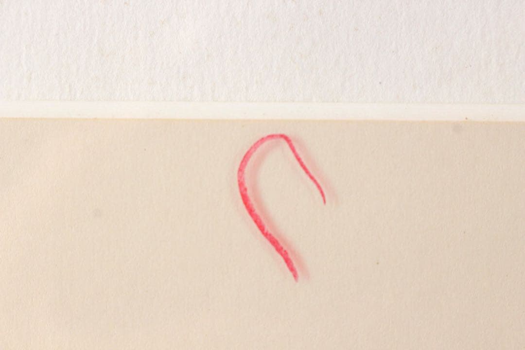 No5304 額装　井上公三　「Goeland III」　かもめ　版画　送料無料