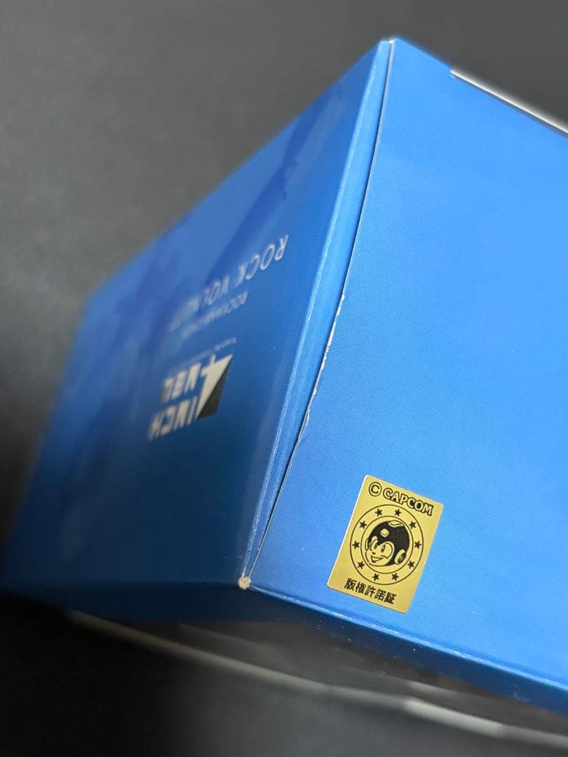 ロック・ヴォルナット　ロックマンDASH　4インチネル／千値練　通常版