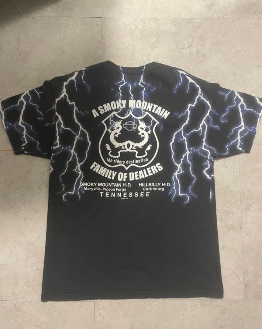 Harley-Davidson サンダー　tシャツ　ブルー　フレイム