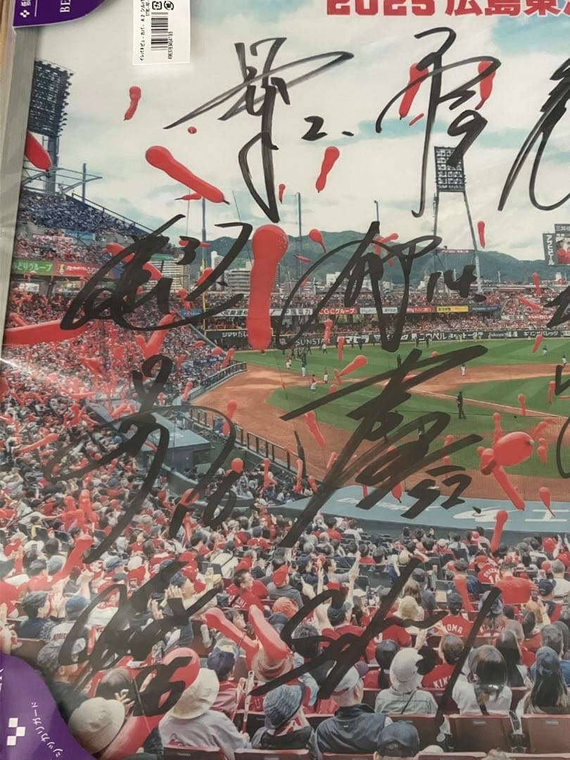 ご*ん様 広島東洋カープ2025年選手会サイン入り写真パネル【非売品】