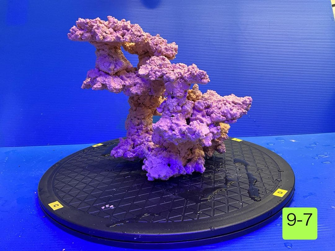 人工ライブロック　No.9-7 CO2 無害化処理済