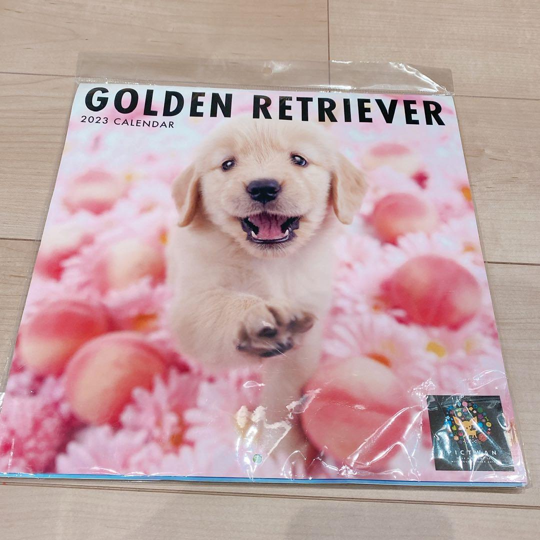 インターズー・クリニッククラブ ゴールデン・レトリーバー 2023年