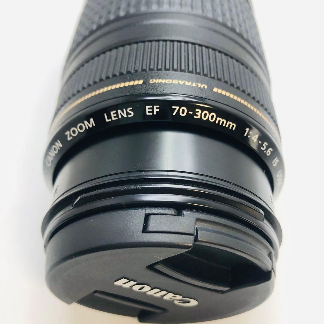 キャノンCanon EF70-300mm F4-5.6 IS USM