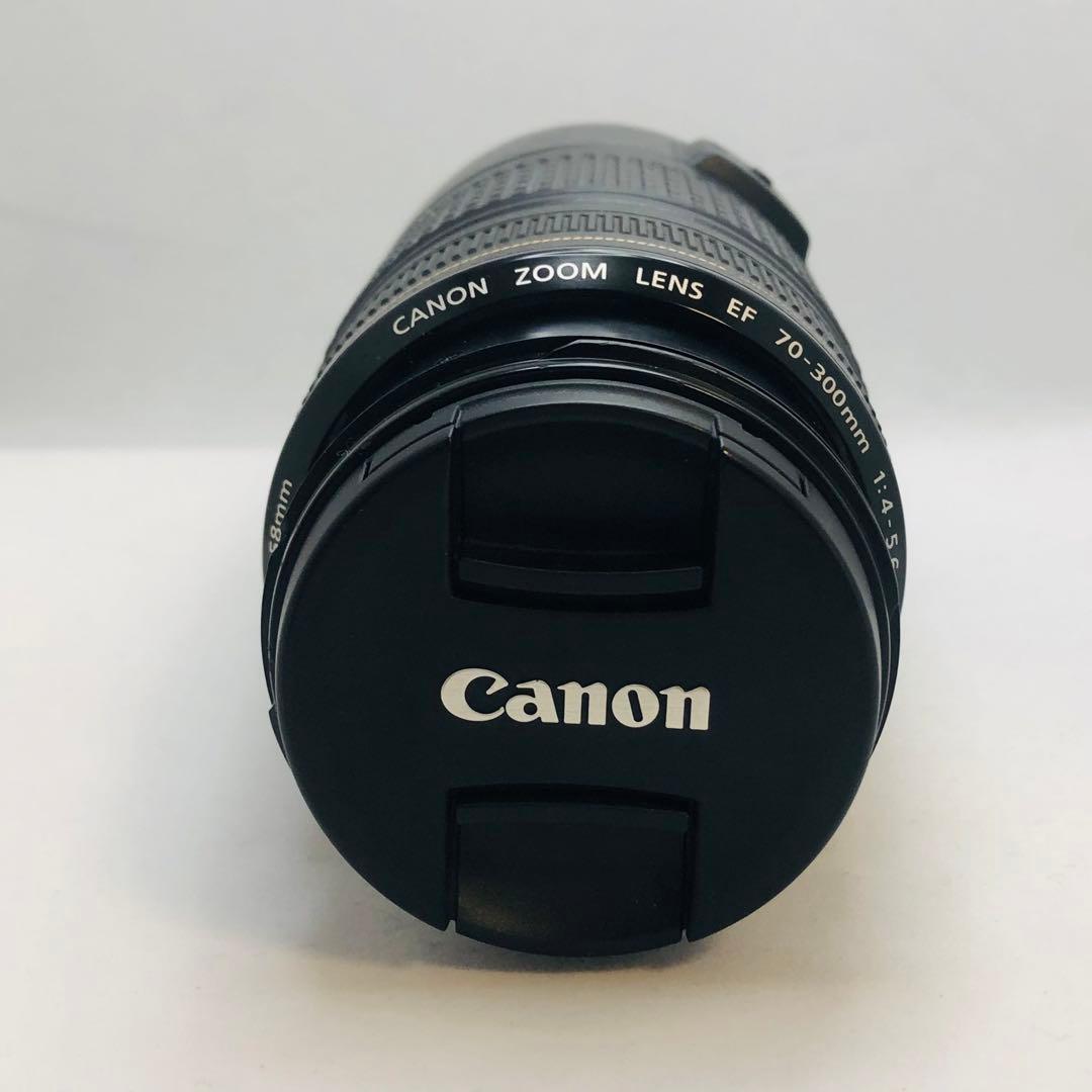 キャノンCanon EF70-300mm F4-5.6 IS USM