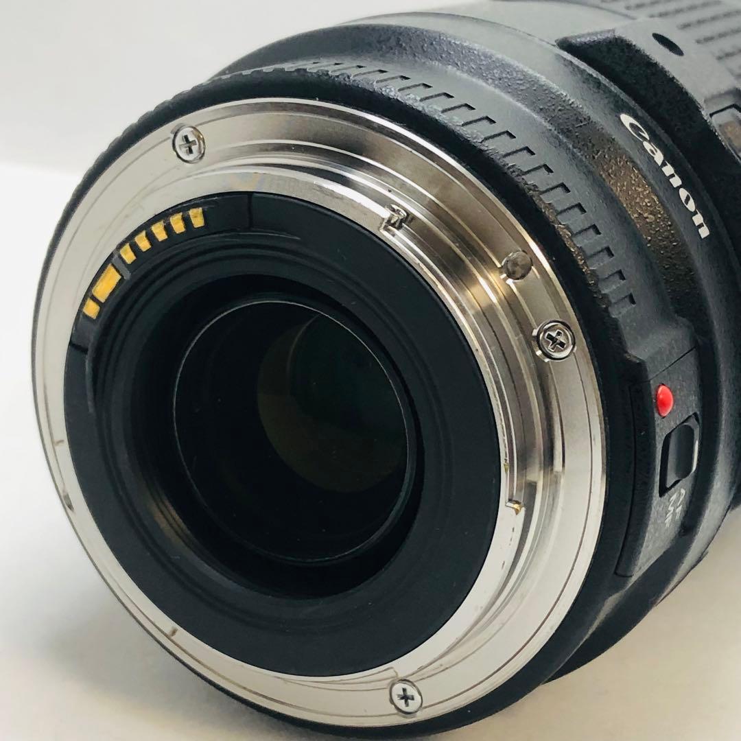 キャノンCanon EF70-300mm F4-5.6 IS USM