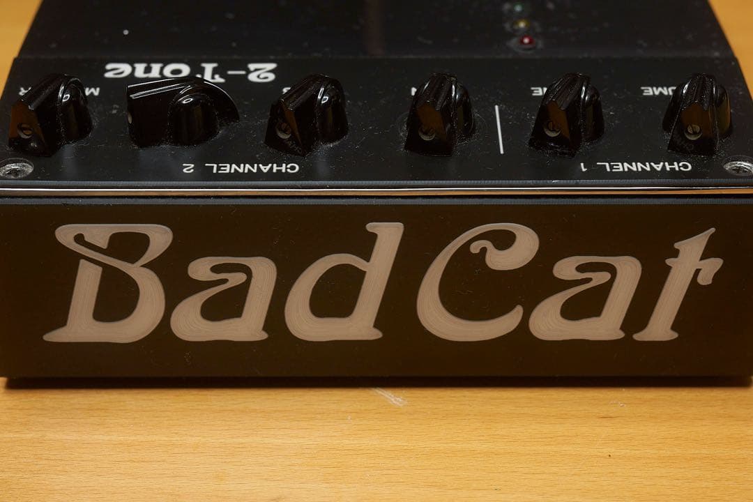 【専用】Bad Cat 2-Tone