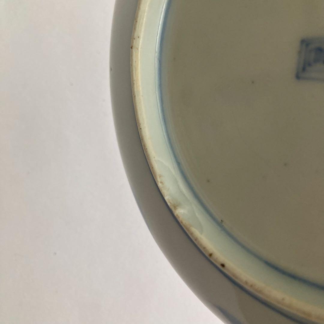 赤絵蝶赤絵皿　器　九谷焼や犬山焼、香蘭社や柿右衛門、大聖寺伊万里、古伊万里好きに