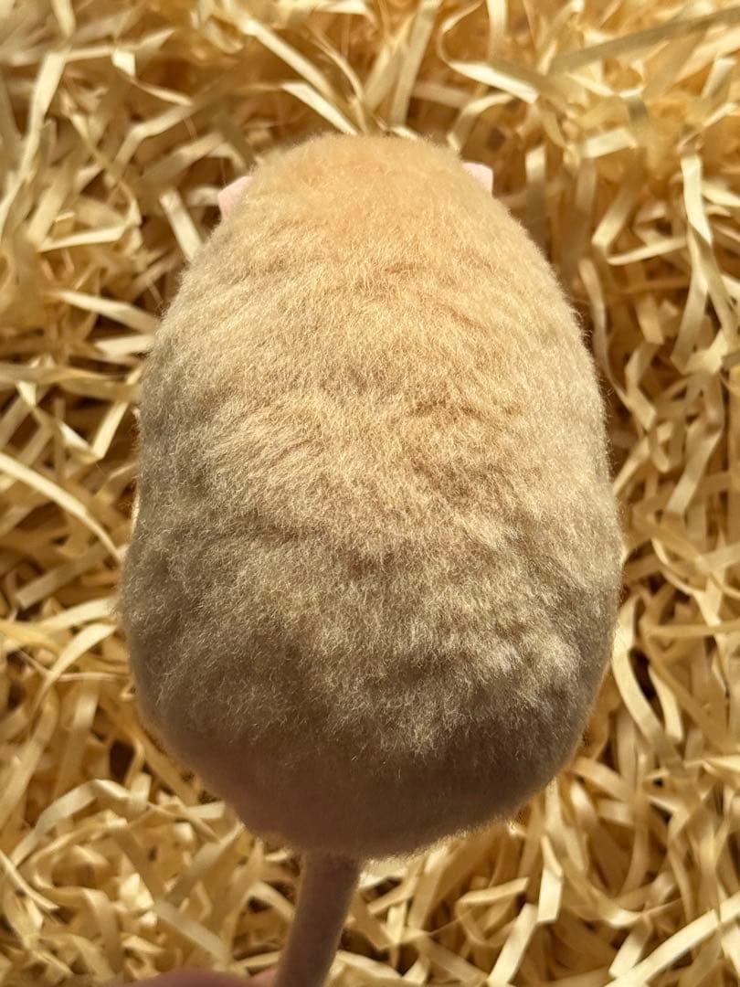 ファンシーラット　羊毛フェルト