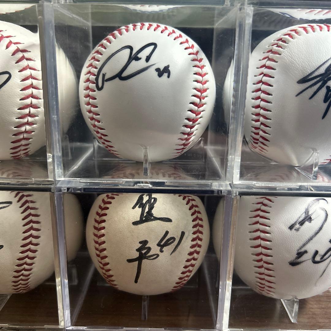 ヤクルトスワローズ 選手直筆サインボール