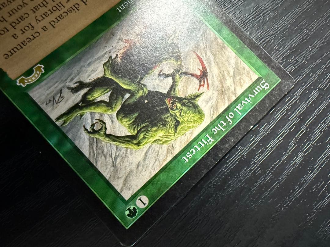 MTG Survival of the Fittest 適者生存 英語