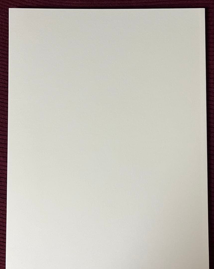 【美品】スロウダメージ 生原画展 図録 スロダメ Slow Damage