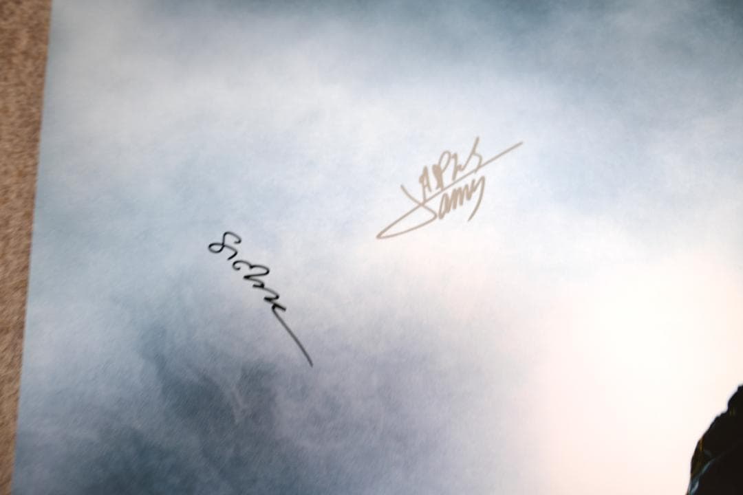 【貴重!!】ハリーポッター 俳優12名サイン入りポスター