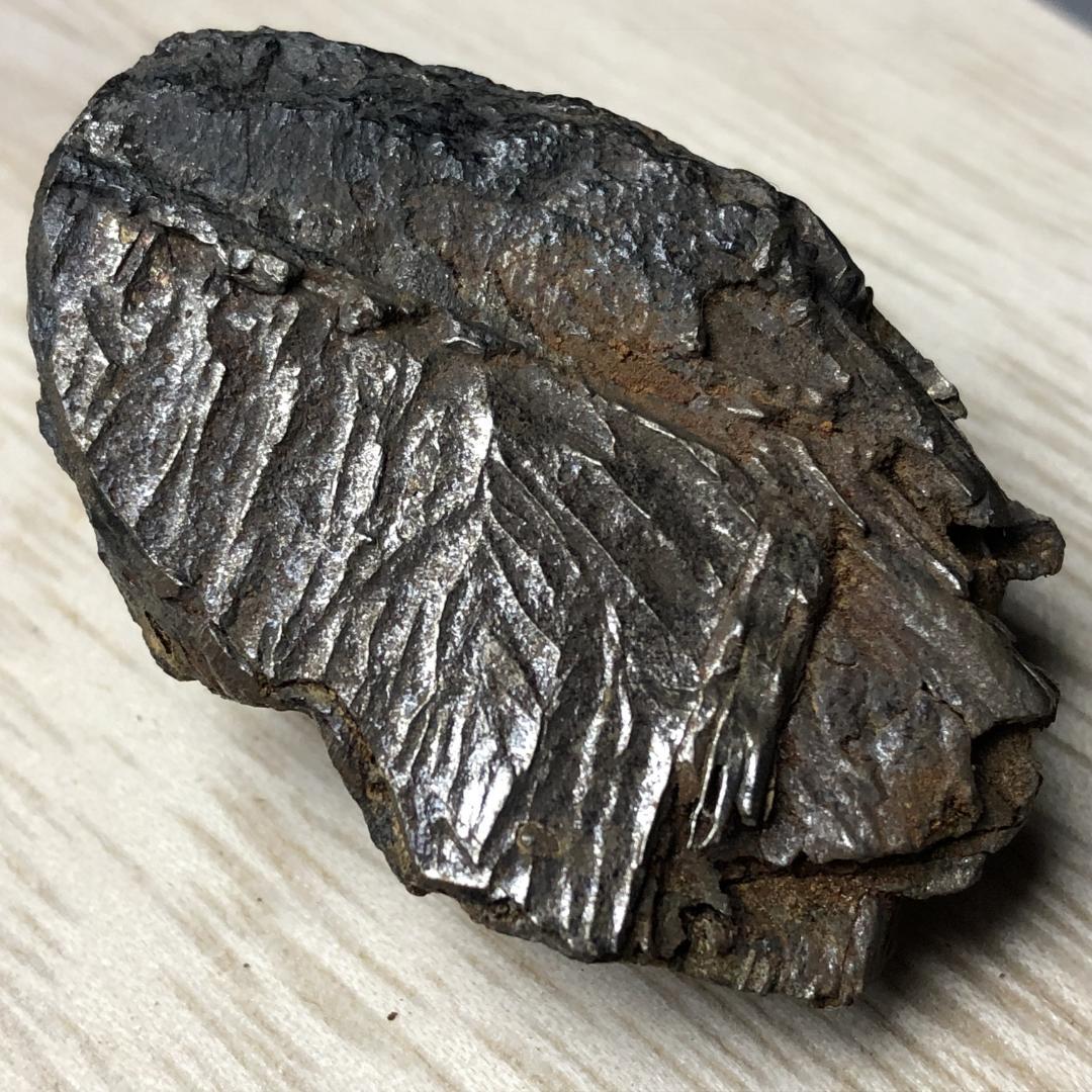 アルタイ隕石　 鉄隕石　メテオライト　原石 2点纏め　重さ約155ｇ