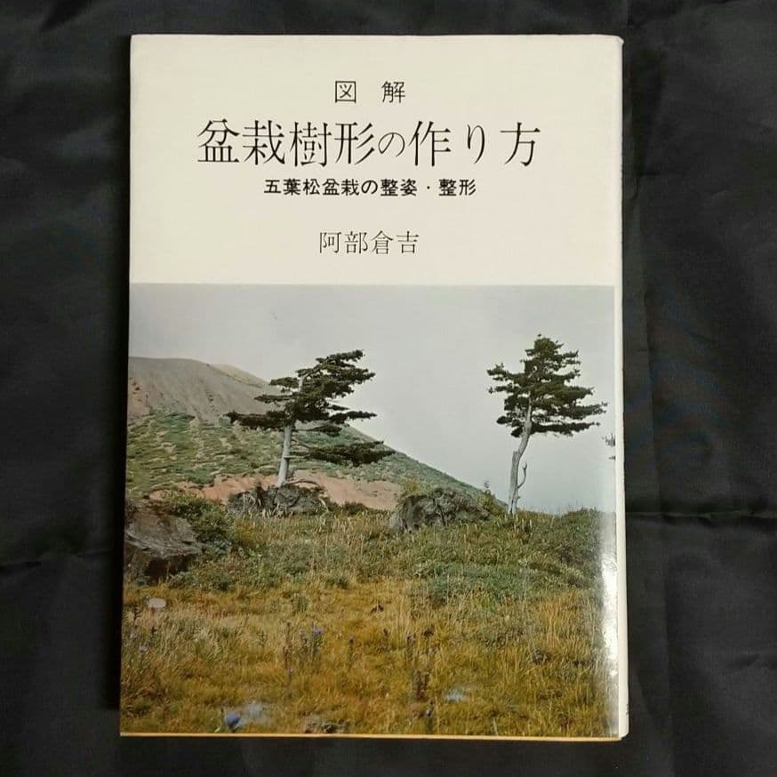 図解 盆栽樹形の作り方 五葉松盆栽の整姿・整形 阿部倉吉 三友社 盆栽