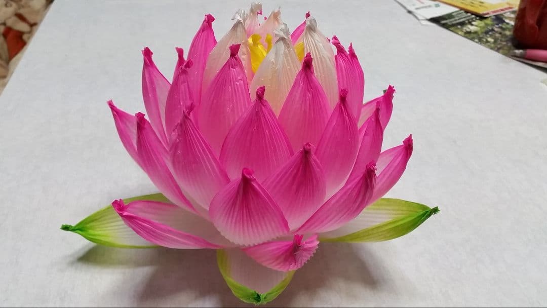 蓮の花の紙83 8色　24個　蓮の紙　韓紙　ハスの花　韓国