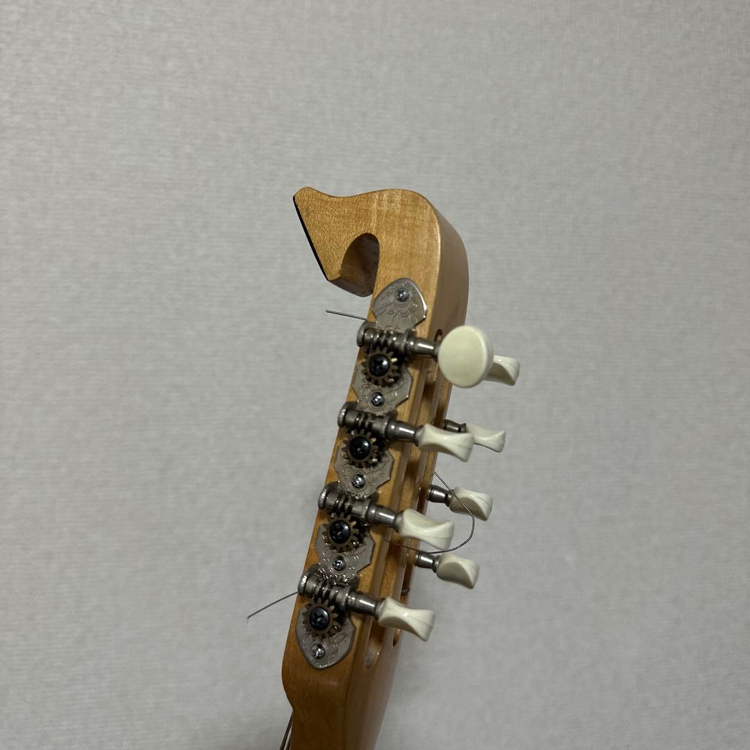 激レア! S.Watanabe No.250 マンドラ 弦楽器 ケース付属